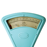 Weight Management Scale